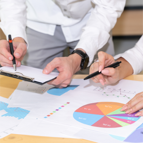 Business Analyst
